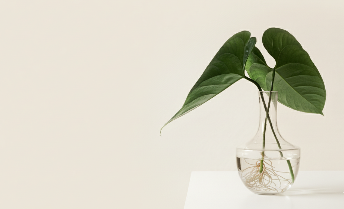 Green leaves in a clear glass vase on warm beige background